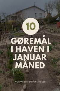 Read more about the article 10 gøremål i haven i januar måned