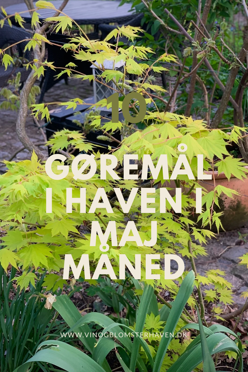 You are currently viewing 10 gøremål i haven i Maj måned