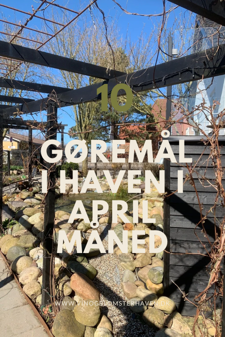 Read more about the article 10 gøremål i haven i April måned